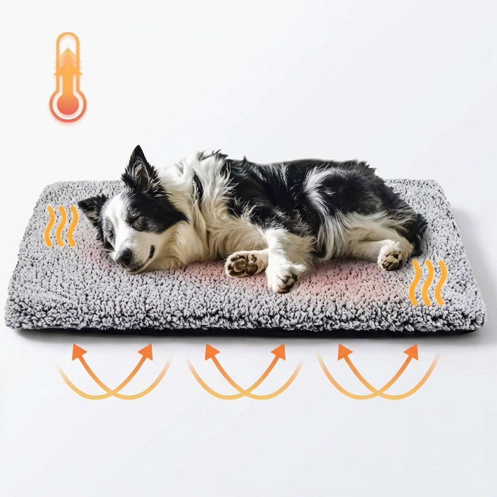 WinterPaw™ Self-Heating Pet Pad for Dogs & Cats